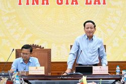 Gia Lai: Có thể đình chỉ doanh nghiệp vận tải vi phạm để chấn chỉnh văn hóa giao thông