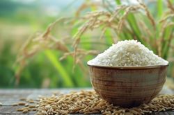 Ng&agrave;y 29/7: Gi&aacute; gạo xuất khẩu tăng, trong nước chưa c&oacute; biến động mới