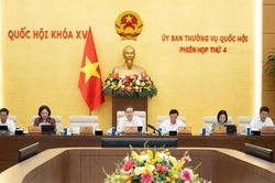 Sửa Luật Đất đai: Đổi mới quản trị để giải phóng nguồn lực đất đai