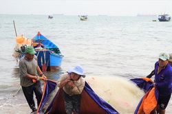 TP. Hồ Ch&iacute; Minh: Ngư d&acirc;n khai b&aacute;o tạm tr&uacute;, tạm vắng tr&ecirc;n VneID khi l&ecirc;n t&agrave;u đi đ&aacute;nh c&aacute;