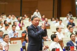Hội nghị quán triệt, thực hiện Nghị quyết Trung ương 3: Quán triệt nhiều Nghị quyết quan trọng