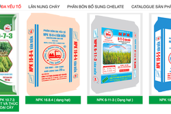Phân lân Nung chảy Văn Điển (VAF) chi gần 38 tỷ đồng trả cổ tức tiền mặt, hoàn thành gần 62% kế hoạch lợi nhuận năm