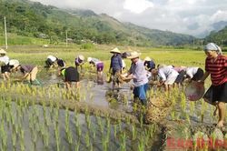 Hơn 1 tỷ đồng ủng hộ Quỹ Hỗ trợ nông dân tỉnh