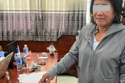 Huỳnh Thị Luyến Anh bị điều tra sau vụ trộm 59 tờ vé số của người bán ngồi xe lăn