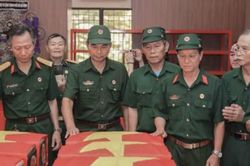 TPHCM: Đ&atilde; ph&aacute;t hiện, quy tập được 150 bộ h&agrave;i cốt liệt sỹ tại C&ocirc;ng vi&ecirc;n L&ecirc; Thị Ri&ecirc;ng