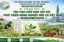 TP.HCM triển khai đề cử điển h&igrave;nh ti&ecirc;n tiến ph&aacute;t triển n&ocirc;ng nghiệp hữu cơ Việt Nam năm 2026