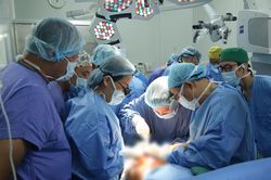 Lần đầu ghép thành công dương vật từ người cho chết não