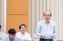 Cân nhắc bổ sung loại hình chung cư có thời hạn khi sửa đổi Luật Nhà ở