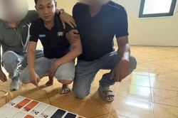 Bắt đối tượng đột nhập cửa hàng Điện máy Xanh trộm 19 điện thoại iPhone 17 Pro Max