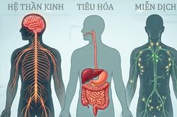 Ảnh hưởng của ô nhiễm thủy ngân với sức khỏe con người