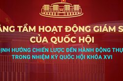 Ủy ban Thường vụ Quốc hội tổ chức Diễn đ&agrave;n của Quốc hội về hoạt động gi&aacute;m s&aacute;t