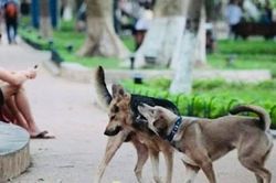 Từ đầu tháng 8/2026, những chính sách mới nổi bật nào bắt đầu được áp dụng?