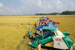 Cơ giới h&oacute;a n&ocirc;ng nghiệp &ndash; đ&ograve;n bẩy n&acirc;ng gi&aacute; trị xuất khẩu n&ocirc;ng sản