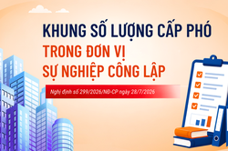Infographic: Khung số lượng cấp phó trong đơn vị sự nghiệp công lập