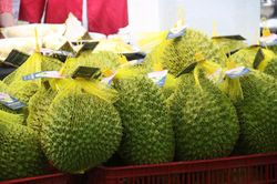 Hàn Quốc bất ngờ tăng nhập khẩu sầu riêng Việt Nam