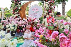 Du lịch Hà Nội tăng trưởng ấn tượng, đón hơn 3,16 triệu lượt khách trong tháng 7/2026