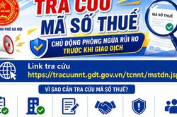 Hướng dẫn tra cứu m&atilde; số thuế
