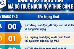Danh mục trạng th&aacute;i m&atilde; số thuế người nộp thuế cần biết
