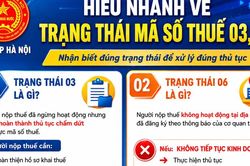 Hiểu nhanh về trạng th&aacute;i m&atilde; số thuế 03, 06