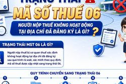 L&agrave;m thế n&agrave;o để kh&ocirc;ng bị chuyển sang trạng th&aacute;i m&atilde; số thuế 06?