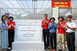Nhịp cầu kết nối kiều bào với quê hương