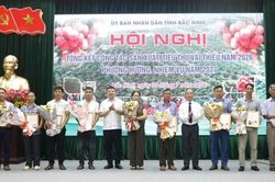 Vụ vải thiều Bắc Ninh năm 2026: Sản lượng giảm, giá cao kỷ lục