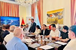 Lãnh đạo Đà Nẵng tọa đàm với doanh nghiệp Áo