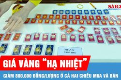 Chiều 30-7: Giá vàng 'hạ nhiệt'
