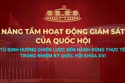 Nâng tầm hoạt động giám sát trong nhiệm kỳ Quốc hội khóa XVI
