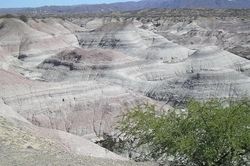 Thông tin vụ rơi trực thăng ở Argentina, 7 người thiệt mạng