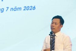 Tái cấu trúc mạng lưới, hình thành các đại học dẫn dắt