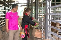 Đào tạo nghề tạo sinh kế bền vững cho đồng bào DTTS ở Quảng Ninh