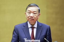 Thành lập Ban Chỉ đạo Trung ương về tổng kết thực tiễn và nghiên cứu sửa đổi, bổ sung Điều lệ Đảng