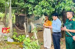 X&aacute;c minh ng&ocirc;i mộ nghi của liệt sĩ trong vườn nh&agrave; người d&acirc;n