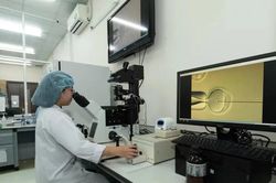 TPHCM thu h&uacute;t nh&acirc;n t&agrave;i, thưởng tới 1 tỷ đồng cho người c&oacute; t&agrave;i năng đặc biệt