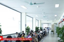 Bộ Chính trị yêu cầu giảm đầu mối bệnh viện, khối giám định pháp y