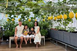 Chồng ở Đà Nẵng làm vườn sân thượng 100m2 tặng vợ, thu hơn 2 tạ trái mỗi mùa