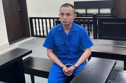 '&Ocirc;ng tr&ugrave;m giấu mặt' chuyển lượng lớn ma t&uacute;y từ Đức về Việt Nam ti&ecirc;u thụ