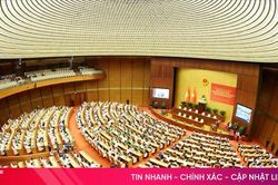 Chương trình hành động của Bộ Chính trị thực hiện Nghị quyết về xây dựng xã hội kỷ cương, an toàn