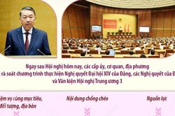 Tổng Bí thư, Chủ tịch nước Tô Lâm: Khẩn trương cụ thể hóa đồng bộ các quyết sách thành chương trình, kế hoạch hành động