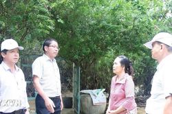 Đ&agrave; Nẵng: Cụ thể h&oacute;a Nghị quyết TW 3 bằng chương tr&igrave;nh h&agrave;nh động s&aacute;t thực tiễn