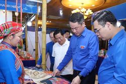 Hơn 300 dự án tranh tài cuộc thi 'Dự án khởi nghiệp thanh niên nông thôn'