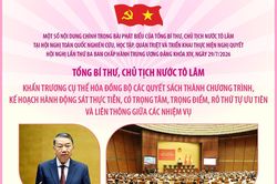 Tổng Bí thư, Chủ tịch nước Tô Lâm: Khẩn trương cụ thể hóa đồng bộ các quyết sách thành chương trình, kế hoạch hành động