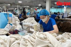 Dệt may chủ động thích ứng với tình hình mới, giữ vững năng lực cạnh tranh