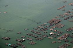TP Hồ Chí Minh: Tăng cường kiểm tra toàn diện hoạt động nhà hàng nổi tại Làng bè Gò Găng