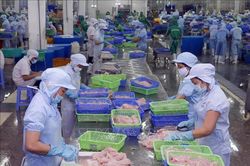 Điểm tin kinh tế Việt Nam nổi bật ngày 30/7/2026