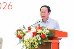 Phó Thủ tướng: Cần tăng cường giám sát thực thi pháp luật ở cấp tỉnh, cấp xã