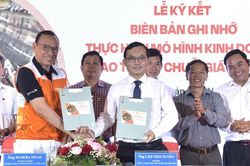 Th&uacute;c đẩy sinh kế bền vững, g&oacute;p phần bảo vệ phụ nữ v&agrave; trẻ em