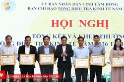 L&acirc;m Đồng ho&agrave;n th&agrave;nh Tổng điều tra kinh tế năm 2026