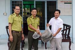 Người dân xã Tri Tôn tự nguyện giao nộp trăn gấm quý hiếm